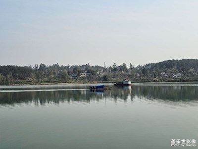 新年隨時(shí)拍