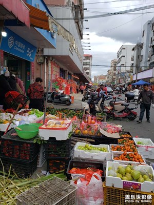 【金蛇轉(zhuǎn)好運(yùn)】+樓下的日常