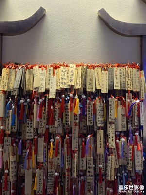 【春節(jié)趣事】+新年許愿