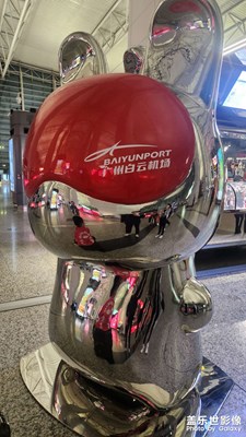 【春節(jié)趣事】春節(jié)出行