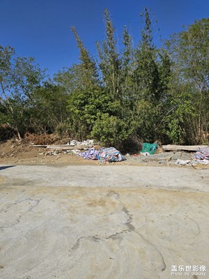 【金蛇轉(zhuǎn)好運】+鄉(xiāng)下的風(fēng)景