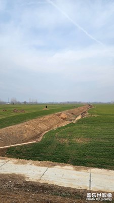 【春節(jié)趣事】+春節(jié)游記