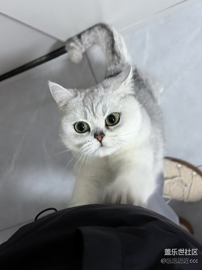 【迎新春，話準備 】春晚