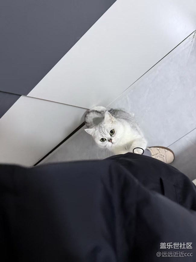 【迎新春，話準備 】春晚