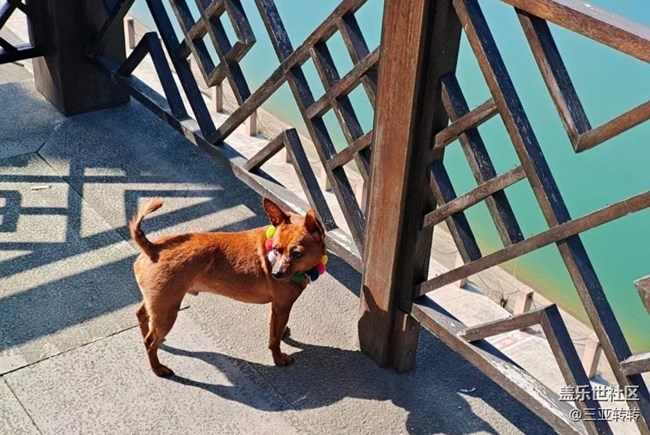 【我家鄉(xiāng)的春節(jié)】一起過年