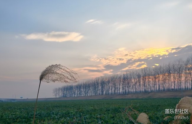 【迎新春，話準(zhǔn)備 】自然