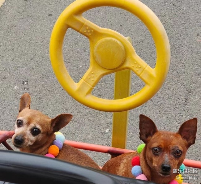 【我家鄉(xiāng)的春節(jié)】一起過年