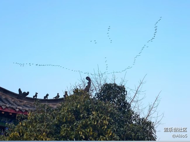 【迎新春，話準(zhǔn)備 】自然