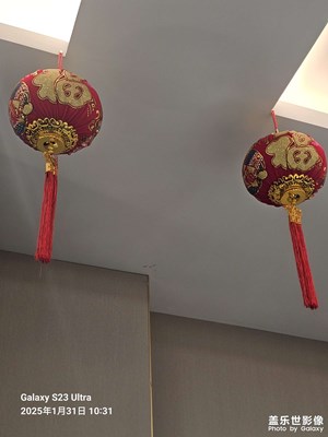 [金蛇轉好運]+大紅燈籠高高掛