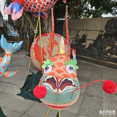 【金蛇轉(zhuǎn)好運(yùn) 】 處處魚龍舞