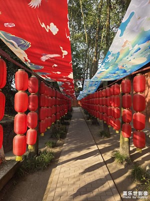 【春節(jié)趣事】+中國德孝城孝泉鎮(zhèn)