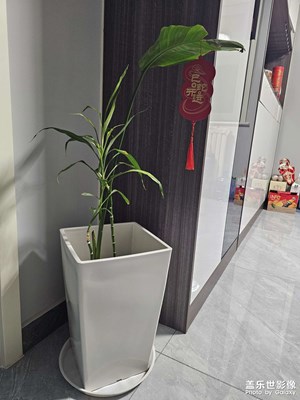 【春節(jié)趣事】+貼春聯(lián)