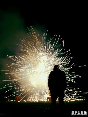 【金蛇轉(zhuǎn)好運】+喜迎2025