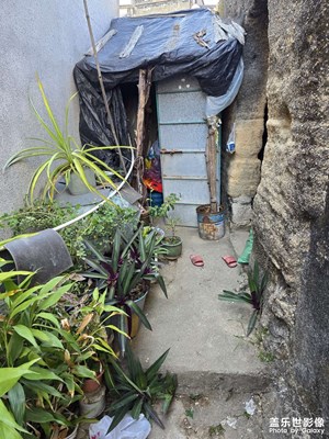 【金蛇轉(zhuǎn)好運(yùn)】+鄉(xiāng)野閑情：邂逅時光里的寧靜