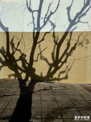 【金蛇轉(zhuǎn)好運(yùn)】＋city walk?????♀????♂