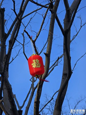 【金蛇轉(zhuǎn)好運(yùn)】+春節(jié)的回憶。