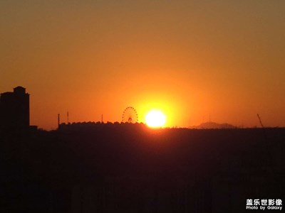 【金蛇轉好運】春節(jié)隨手拍