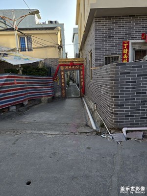 【金蛇轉(zhuǎn)好運(yùn)】+回家拜年