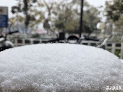 【金蛇轉(zhuǎn)好運(yùn)】瑞雪