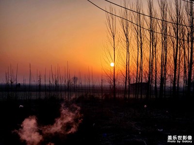 【 金蛇轉(zhuǎn)好運 】+短暫的假期