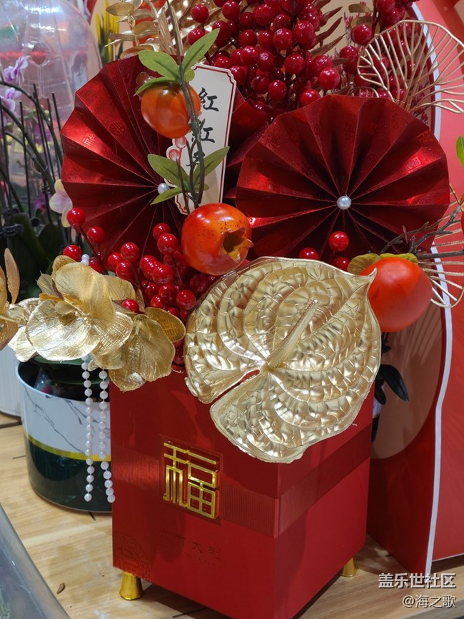 【我家鄉(xiāng)的春節(jié)】過春節(jié)