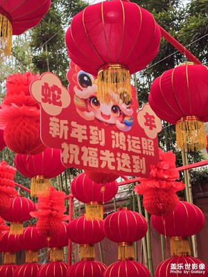 【金蛇轉(zhuǎn)好運】+春游房湖雒城