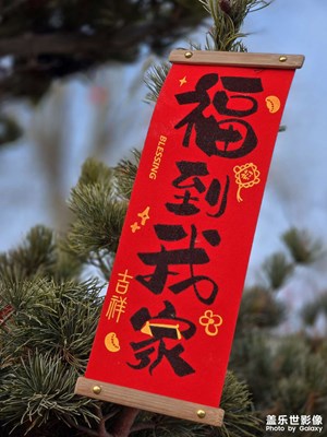 【春節(jié)趣事】字趣