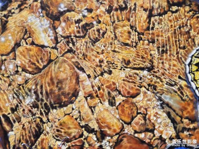 【春節(jié)趣事】+美麗的畫