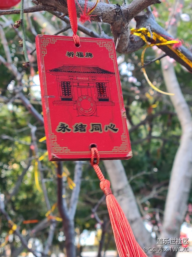 【我家鄉(xiāng)的春節(jié)】春節(jié)祈福