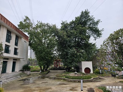 小時(shí)候的村子整體拆遷了