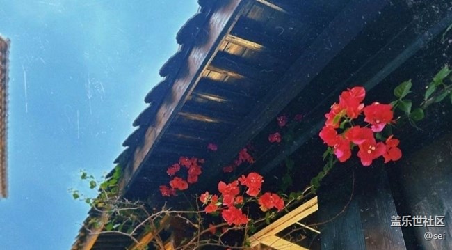 【春節(jié)行跡】老街