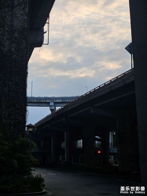 【返程路上】鋼筋與藤蔓