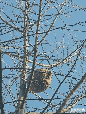 【返程路上】+去上班地方提前感受班味