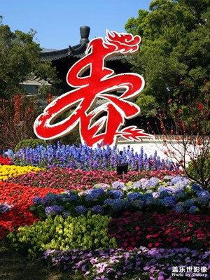 【金蛇轉(zhuǎn)好運】花城迎春