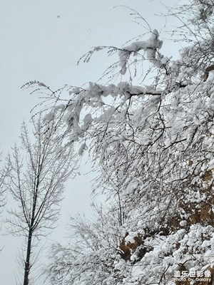 【返程路上】+冬日的雪
