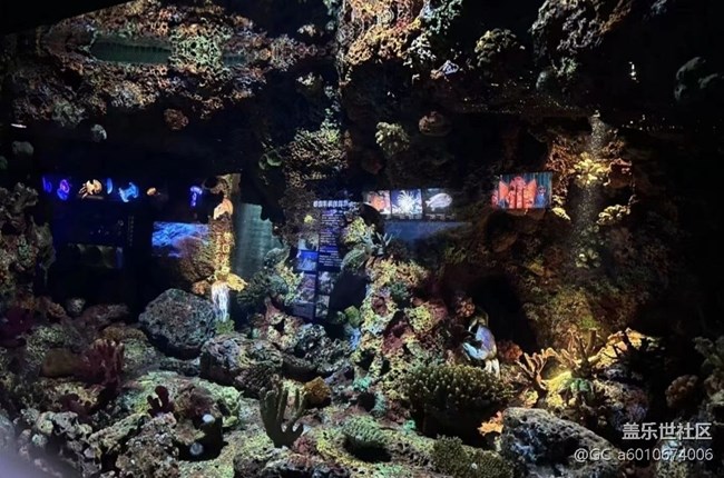 【春節(jié)行跡】魔都