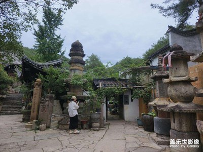 【金蛇轉(zhuǎn)好運】+美好生活