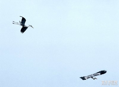 【返程路上】翩翩