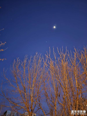 【返程路上】+夜月色