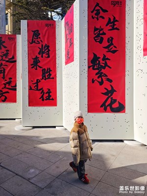 【金蛇轉(zhuǎn)好運】+福啟新歲