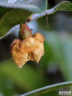 新生與結(jié)束