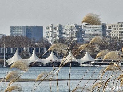 【金蛇轉(zhuǎn)好運(yùn)】散散心