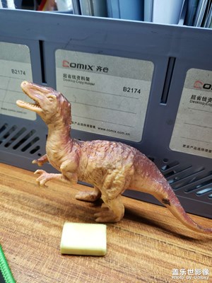 【金蛇轉(zhuǎn)好運(yùn)】+辦公桌的奇妙小世界