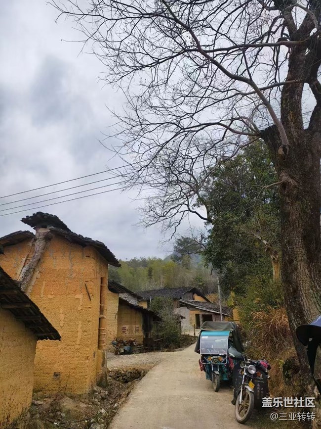 【春節(jié)行跡】回村