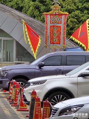 【金蛇轉(zhuǎn)好運(yùn)】+那一抹飄揚(yáng)的色彩