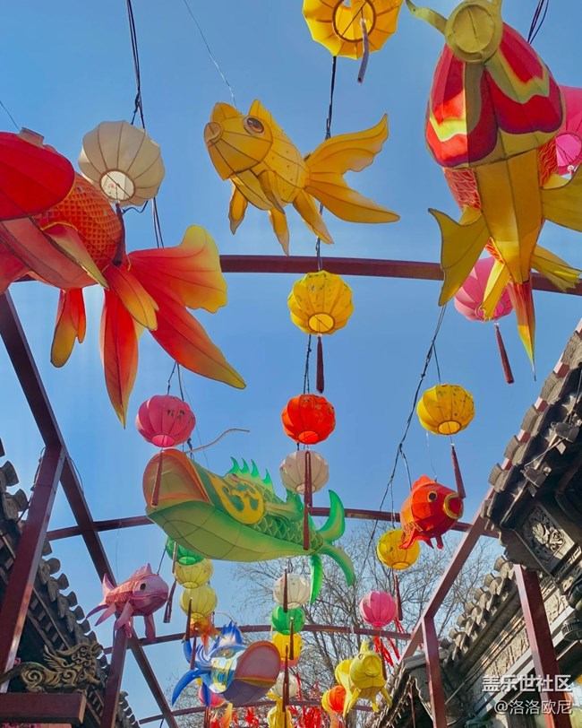 【冬日下的年味】發(fā)大財