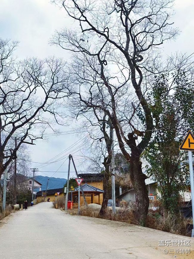 【春節(jié)行跡】回村