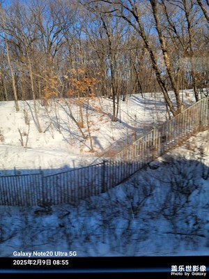 【返程路上】+高鐵歸途