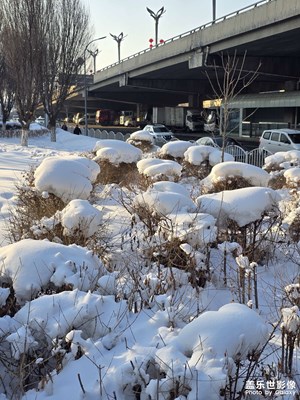 【金蛇轉好運】+新年游玩