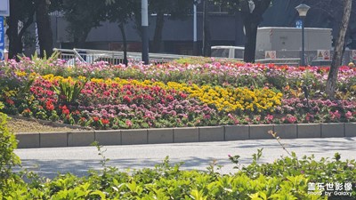 【返程路上】在路上